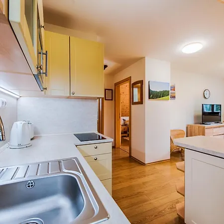 Valassky Dvur Apartment Velke Karlovice